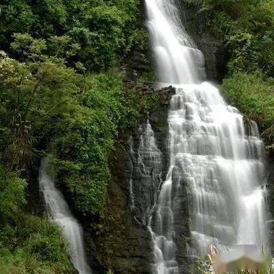 枝叶关情丨党建引领“破茧”小区难题